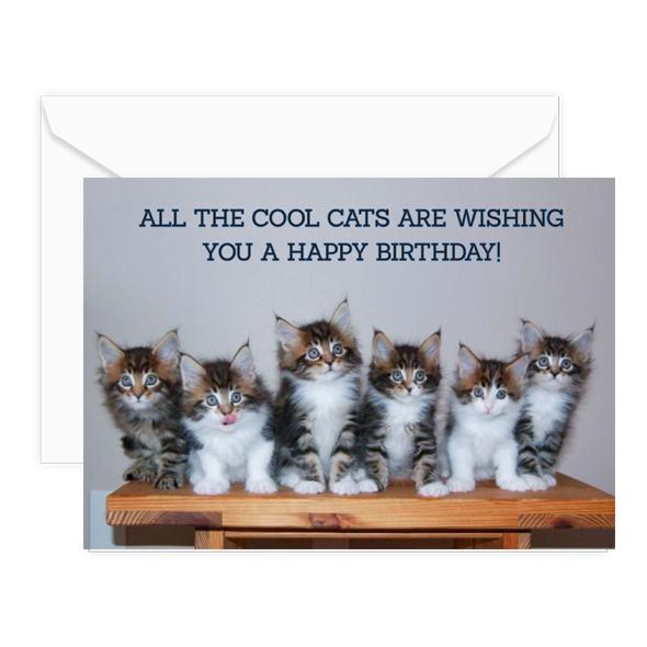 cool cats w-envelope